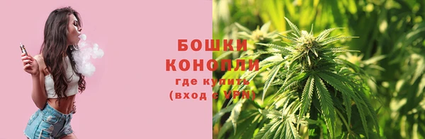марки lsd Пересвет