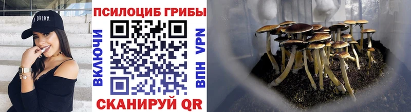 Псилоцибиновые грибы мухоморы  Покровск 